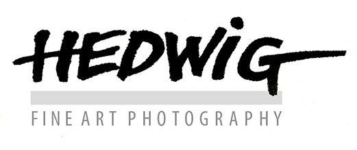 Murray Hedwig